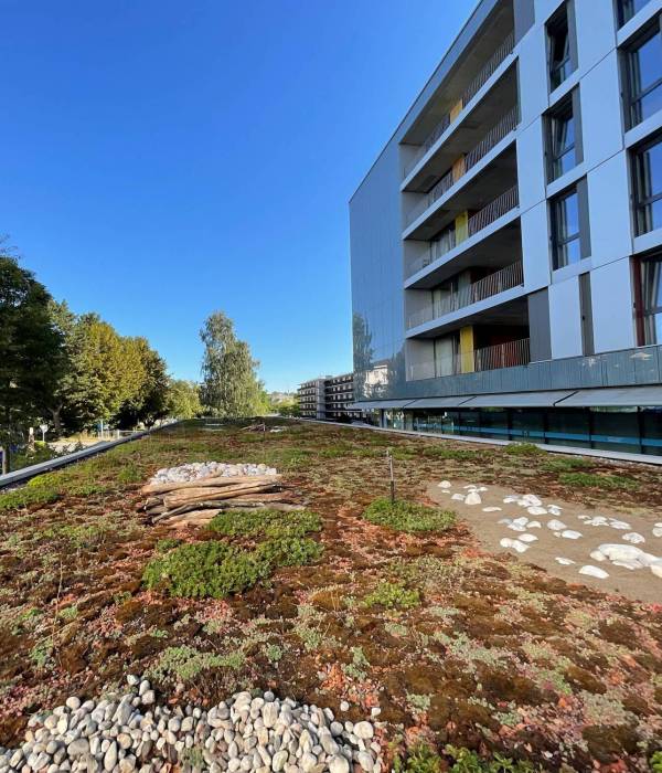 EPFL - Amélioration et entretien de toitures végétalisées