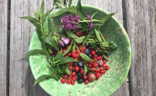 Permaculture (Intro) - Taiga Creations