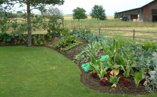 Permaculture (Intro) - Taiga Creations