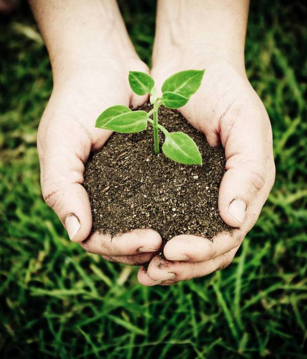 Matinée permaculture 