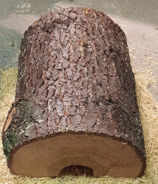 Abris hérissons 