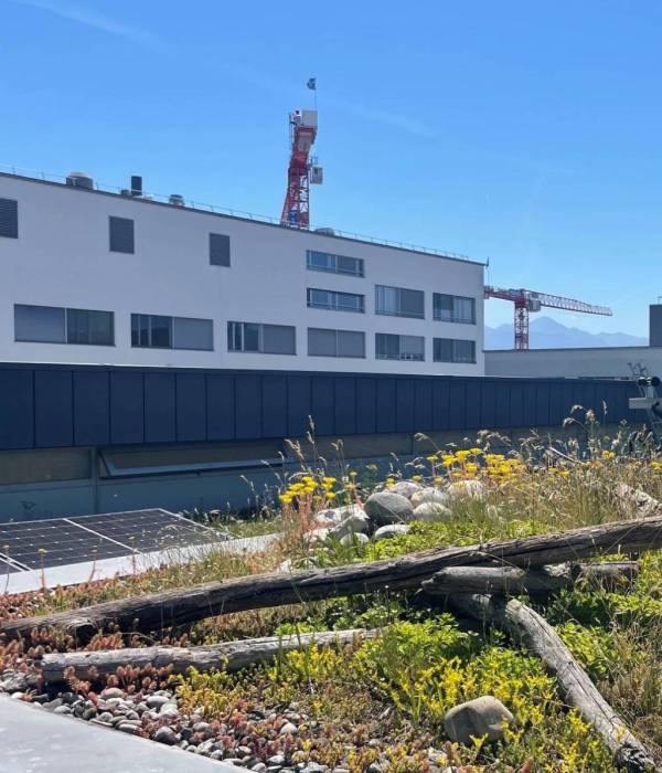 EPFL - Amélioration et entretien de toitures végétalisées