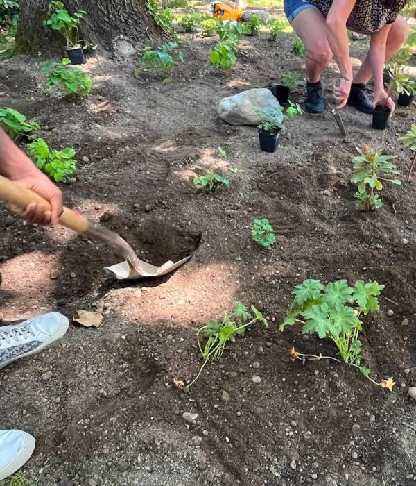PP INTEGRA SA - Plantations participatives